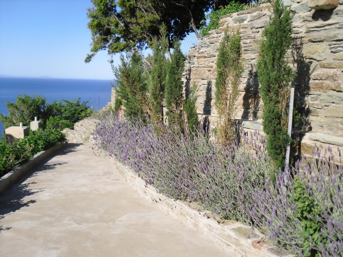Aegean Castle Andros - Adults Only Aparthotel Agia Eleousa Eksteriør bilde